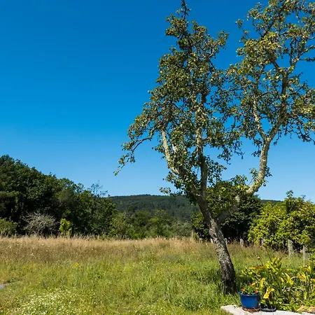 A Casa Dos Caseiros ツ By Rias Baixas Holiday home Gondomar